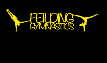 Gymnastics - Feilding Gymnastics Club