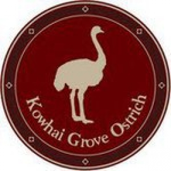 Kowhai Grove Ostrich Farm