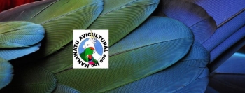 Manawatu Avicultural Society Inc