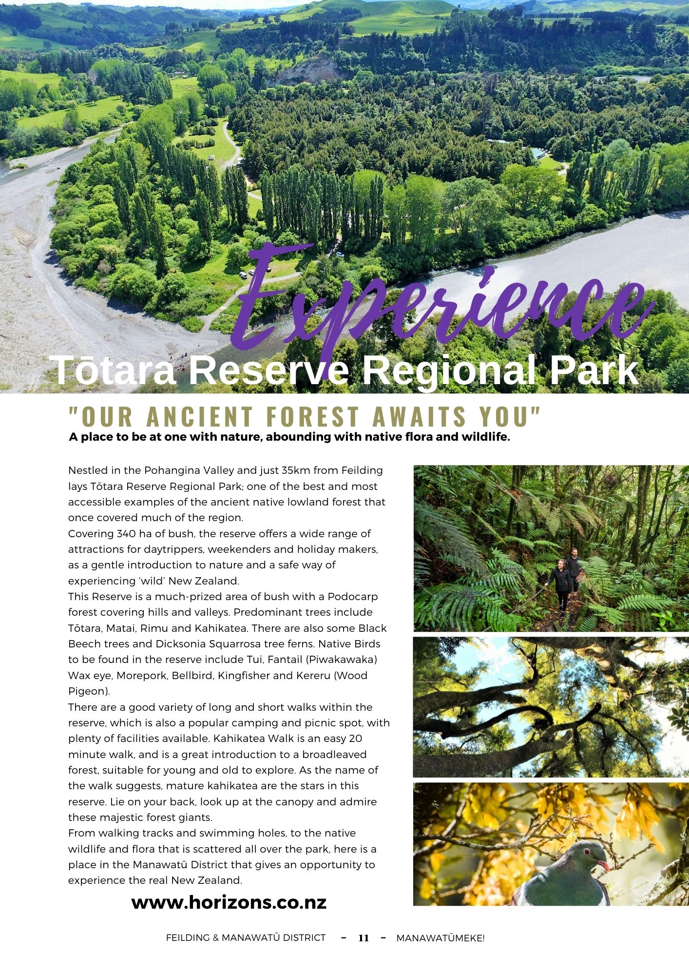 Manawatu Totara reserve